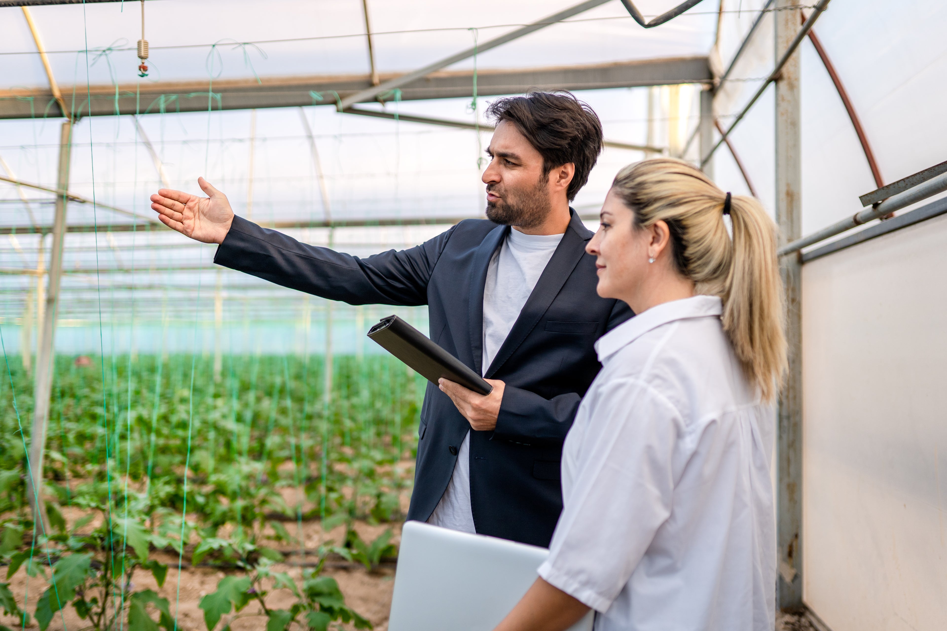 Sustainability and Social Impact