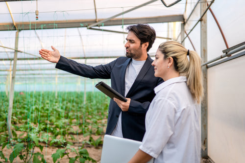 Sustainability and Social Impact